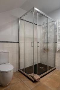 La salle de bains est pourvue d'une douche en verre et de toilettes. dans l'établissement Lo Petit Refugi, à Camprodon