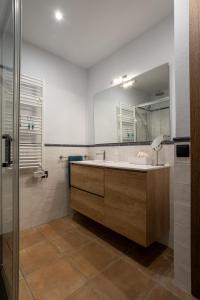 ein Bad mit einem Waschbecken, einem Spiegel und einer Dusche in der Unterkunft Lo Petit Refugi in Camprodon