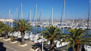 een jachthaven met boten en palmbomen in een haven bij T2 sur le port avec parking in Gruissan
