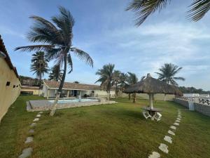 マセイオにあるVilla Riacho Doceの椰子の木のある庭
