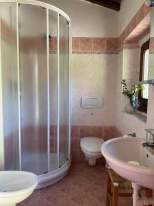 uma casa de banho com um chuveiro, um lavatório e um WC. em LOCANDA PODERE LE VIGNE em Radda in Chianti