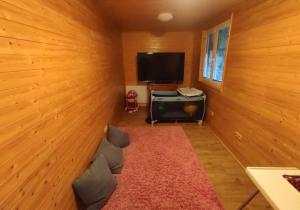 TV in/ali zabaviščno središče v nastanitvi Apartmánová chata Sečanda s bazénem, u Sečské přehrady