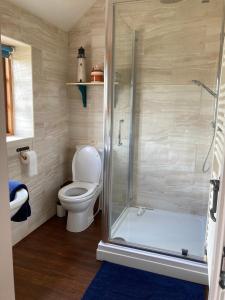 a bathroom with a toilet and a shower at Charming Farm based cottage with hot tub and sauna in Newton