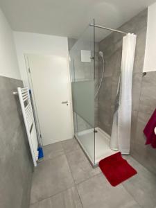 a bathroom with a shower and a red rug at Unterkunft für Arbeiter und Monteure in Fürstenfeldbruck