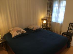 1 dormitorio con 1 cama azul grande y 2 almohadas en Le petit duc en Gans