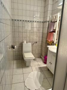 a small bathroom with a toilet and a sink at Hotel Weinhaus Eberitzsch GmbH in Bad Blankenburg