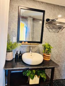 a bathroom sink with a mirror and plants on a counter at Homestay Thác Liên Khương in Ðưc Trọng