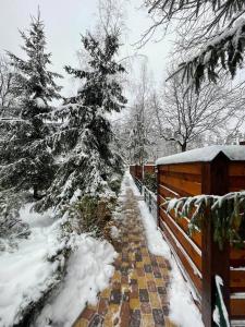 a snow covered path with a fence and trees at Гостевой комплекс "Дядя Саша" in Sokirno