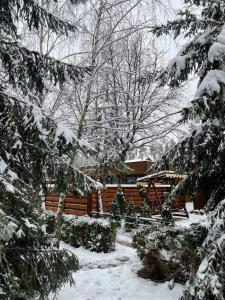 podwórko pokryte śniegiem drzewami i domem w obiekcie Гостевой комплекс "Дядя Саша" w mieście Sokirno