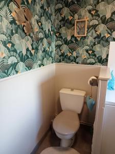 a bathroom with a toilet with a green and white wallpaper at Gîte du Kreizker in Cléden-Poher