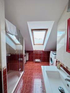 a bathroom with a shower and a sink and a window at Alianza del Castillo in Ponferrada
