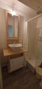 ein Badezimmer mit Waschbecken und Dusche in der Unterkunft Idéal couple Appartement 1 chambre Cosy et calme pour visiter Nantes in Nantes