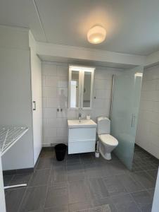 uma casa de banho com um WC, um lavatório e um espelho. em Rentalux Apartments in Örnsköldsvik em Örnsköldsvik