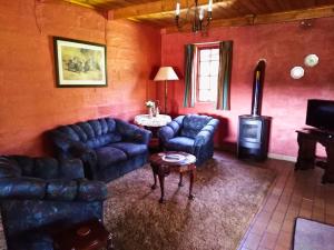 a living room with blue couches and a wood stove at Hill Billys Selfcatering in Winterton