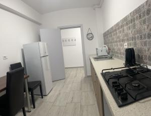 Il comprend une cuisine équipée d'une cuisinière et d'un réfrigérateur. dans l'établissement Nova Residence Leordeni, à Popeşti-Leordeni