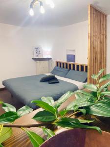 a bedroom with a bed and a plant at Taverna con bagno turco in Cremeno