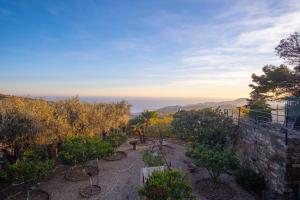 a garden with trees and plants on a hill at Da Ernestina in Imperia