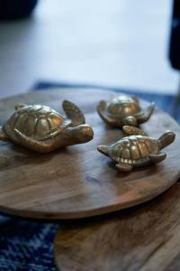 drie schildpadden op een houten plaat op een tafel bij Captains Boathouse in Harderwijk