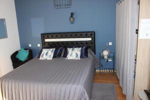 a bedroom with a large bed with blue walls at Chambre privée, Mer et Foret in Le Verdon-sur-Mer