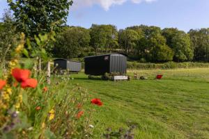 two trailers in a field with flowers and trees at Deer Lodge Shepherds Hut in Rowlands Castle