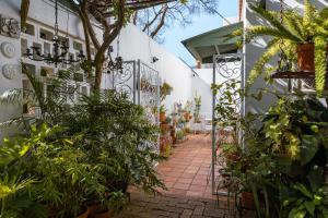 un pasillo ajardinado con plantas y una valla en Hummingbird, en Pretoria