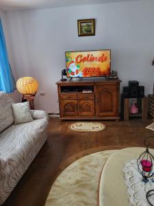 sala de estar con sofá y TV de pantalla plana en Casa Nadia, en Voineasa