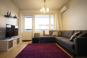 ロヴァニエミにあるHome base near railway stationのソファとテレビのあるリビングルーム