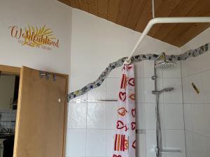 a bathroom with a shower with a shower curtain at Ferienwohnung Breu in Arnbruck