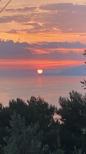 a sunset over the water with trees in the foreground at La GEMMA di Orrico in Anacapri