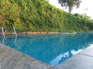a swimming pool with blue water and trees at Hapu Tales - Private Holiday Villa in Haputale