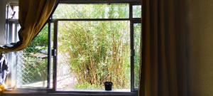 a window in a room with a view of a bush at Apartamento bambu Laranjeiras in Rio de Janeiro