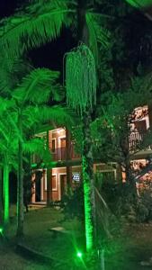 a green light in front of a house with a palm tree at Pousada Santo Antonio in Santo Antônio do Pinhal