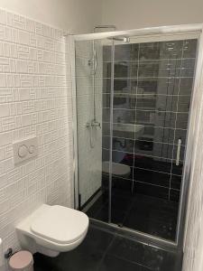 a bathroom with a toilet and a glass shower at Studio apartment in Povlja with sea view, terrace, air conditioning, WiFi 3419-4 in Povlja +28 photos