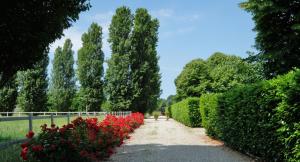 Billede fra billedgalleriet på Agriturismo Il Leone della Torre i Contrada Ronchiel