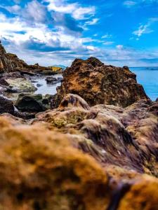 un grupo de rocas en una playa con el océano en Résidence Aquilaria Dar Narjes, en El Haouaria