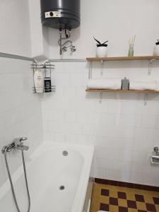 a bathroom with a shower and a bath tub at NAS DOM OPLENAC in Topola +19 photos