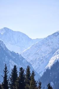 a snow covered mountain with trees in the foreground at Karakol Resort in Karakol