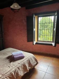 Schlafzimmer mit einem Bett und einem Fenster in der Unterkunft Apartamentos en Alfacar in Alfacar