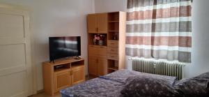 TV a/nebo společenská místnost v ubytování Gartenblick