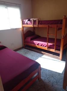 a bedroom with two bunk beds and a window at Bosquecito de Carpin in Carpintería