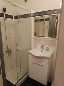 a bathroom with a shower and a sink at Sunny garden studio in Athens