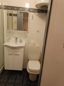 La petite salle de bains est pourvue de toilettes et d'un lavabo. dans l'établissement Sunny garden studio, à Athènes
