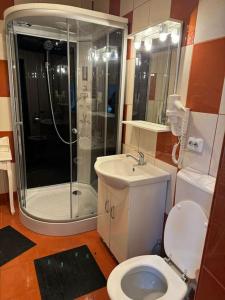 a bathroom with a shower and a toilet and a sink at IaZi Apartament in Braşov
