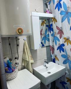 a small bathroom with a sink and a toilet at Vikendica na Drini in Banja Koviljača