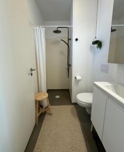 a white bathroom with a toilet and a sink at Armuli in Reynistaður