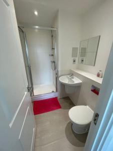 a bathroom with a toilet and a sink and a shower at Stunning Cozy Flat 2. in Belvedere
