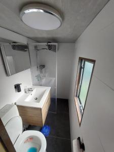 a bathroom with a sink and a toilet and a mirror at Perenhof 6 in Oostvoorne