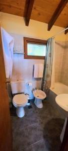 a bathroom with a toilet and a sink at Bosque Del Sur Cabañas in Ushuaia