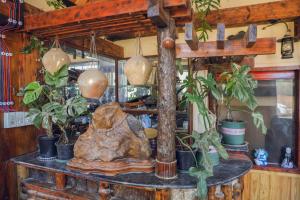 Fotografie z fotogalerie ubytování Ziczac Homestay Đà Lạt v destinaci Da Lat