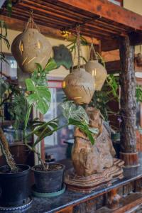 Fotografie z fotogalerie ubytování Ziczac Homestay Đà Lạt v destinaci Da Lat